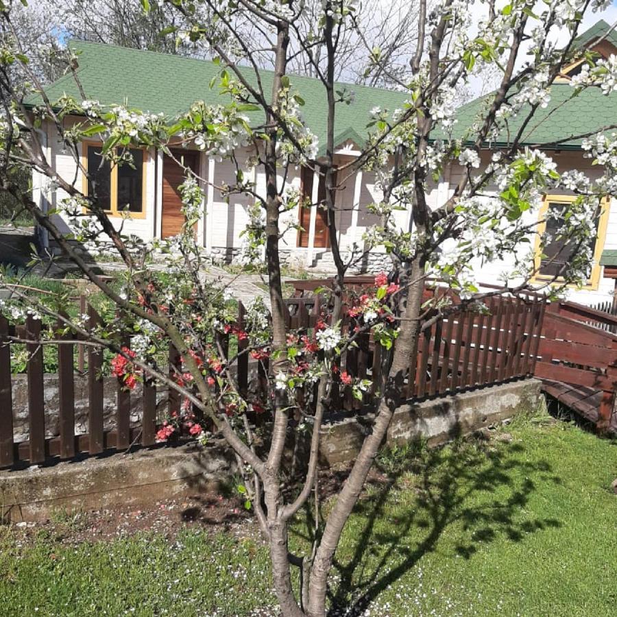 Rooms And Apartmants Mirovic Kolasin Exterior photo
