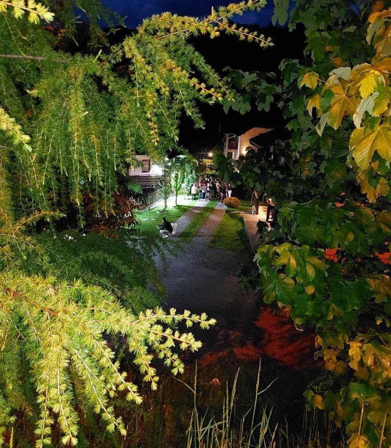 Rooms And Apartmants Mirovic Kolasin Exterior photo